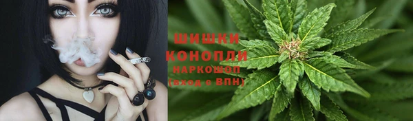 spice Медногорск